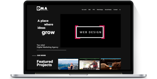 portfolio